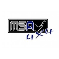 MSA