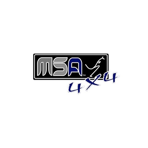 MSA